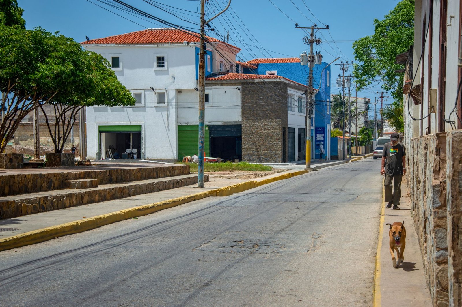Tree-lined residential street in a quiet South African suburb