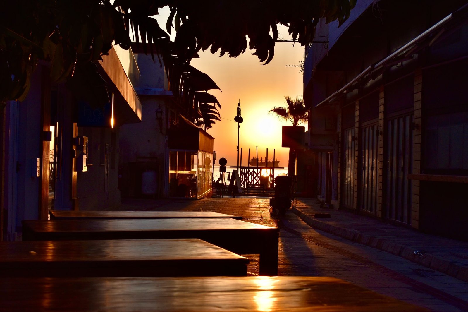 Quiet tree-lined street with an outdoor café in a South African suburban area at golden hour