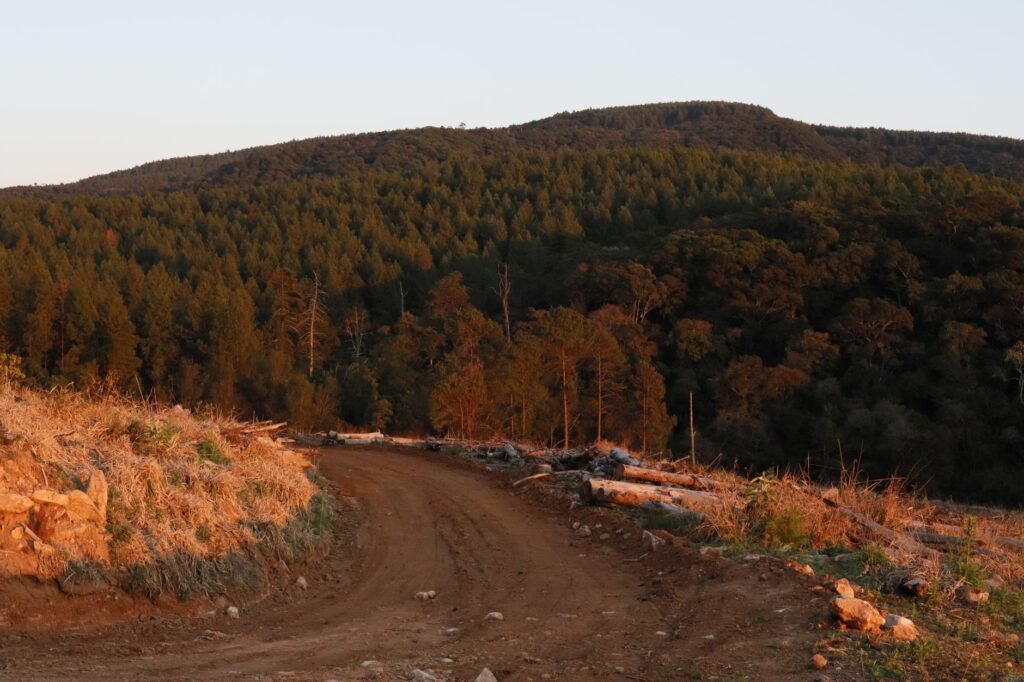 A quiet gravel road on the edge of a small Limpopo town at dusk