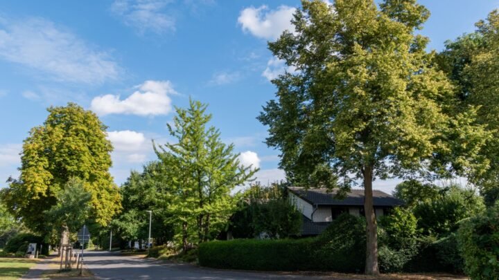 Bryanston Escort Guide for Visitors: Plan a Discreet, Confident Trip