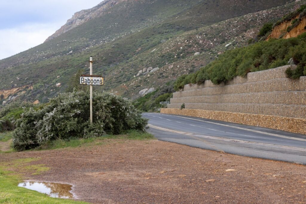 Traveller checking a phone beside a car at a quiet roadside stop