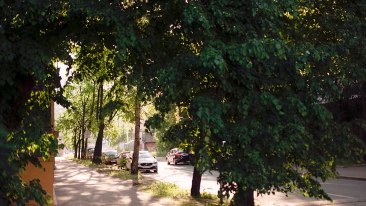 Westville Escort Guide for Visitors: Plan a Confident, Discreet Trip